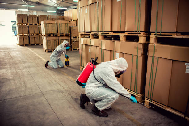 Professional Pest Control in Pomona, NJ