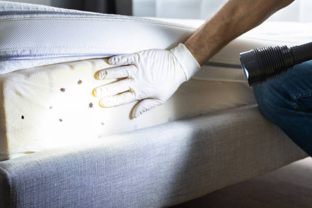Best Best Pest Control Companies  in Pomona, NJ