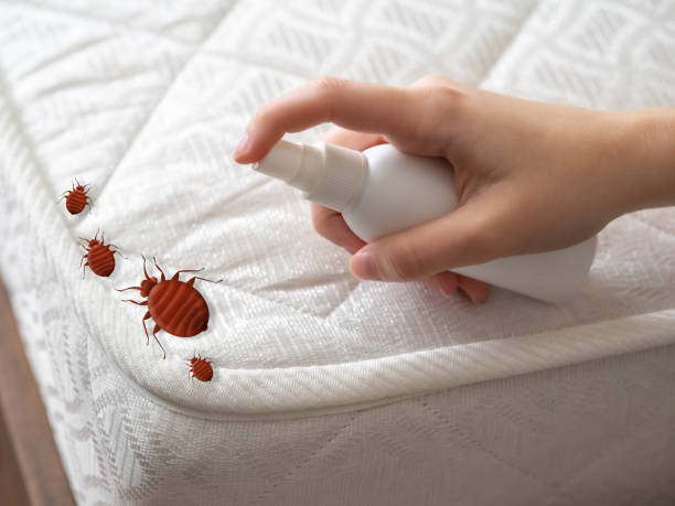 Best Pest Control Near Me in Pomona, NJ