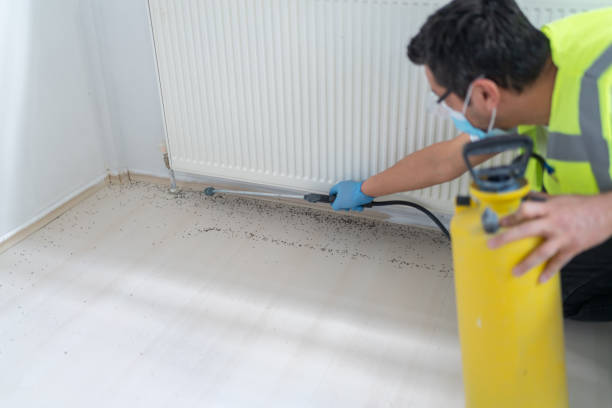 Best Pest Prevention Services  in Pomona, NJ